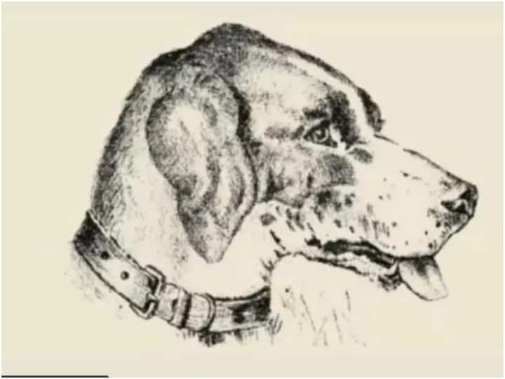 Optical Illusion: इस तस्वीर में छिपा है एक इंसानी चेहरा, ढूंढते-ढूंढते चकराने लगेगा सिर! find man face in dog sketch optical illusion photo Optical Illusion: इस तस्वीर में छिपा है एक इंसानी चेहरा, ढूंढते-ढूंढते चकराने लगेगा सिर!