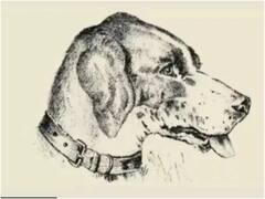 इस तस्वीर में छिपा है एक इंसानी चेहरा, ढूंढते-ढूंढते चकराने लगेगा सिर!