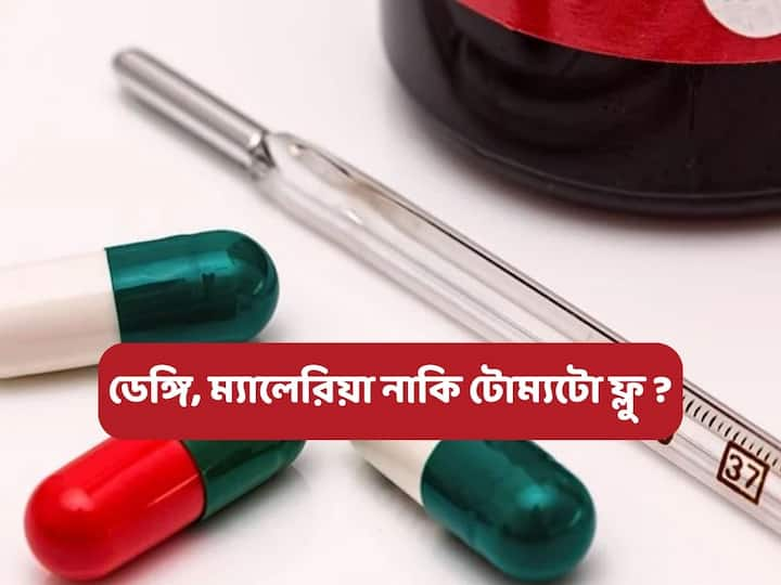 বর্ষা ও দিন কয়েকের প্রবল বৃষ্টিতে আগাছা বৃদ্ধি পাওয়ায় সংক্রমণ বাড়ার প্রবণতা তৈরি হয়েছে।