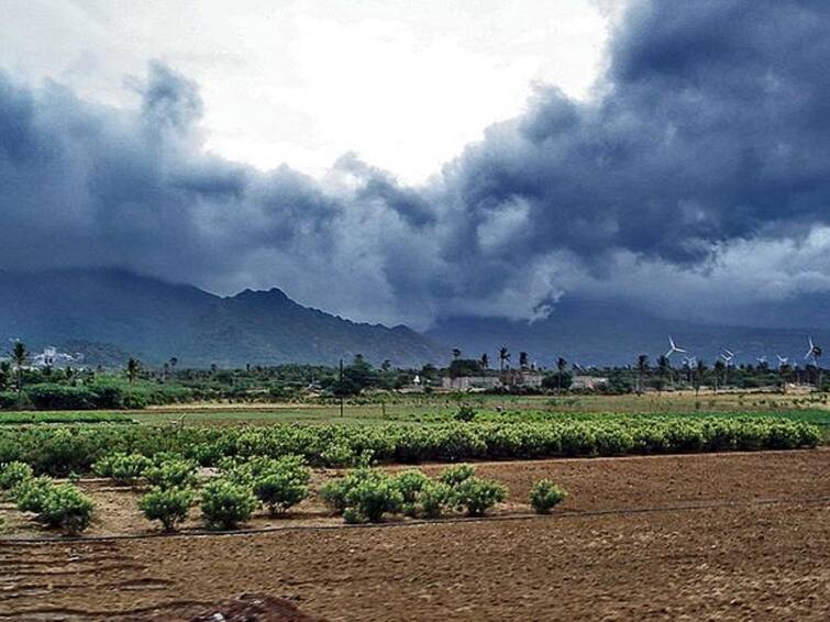 Gujarat has received a total of 98 percent rainfall in the monsoon season so far Gujarat Rain Update: જાણો ગુજરાતમાં અત્યાર સુધીમાં કેટલા ટકા પડ્યો વરસાદ, નર્મદા ડેમ 90 ટકા ભરાયો