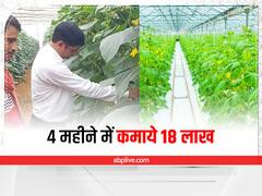 गेहूं से नहीं मिला मुनाफा तो पॉलीहाउस में उगाये खीरा, अब तरक्की देखकर कलेक्टर तक वाहवाही कर रहे हैं