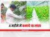 Success Story: गेहूं से नहीं मिला मुनाफा तो पॉलीहाउस में उगाये खीरा, अब तरक्की देखकर कलेक्टर तक वाहवाही कर रहे हैं