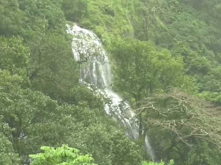 श्रावणात कोकणात ऊन पावसाचा खेळ आणि निसर्गाचे खुललेलं रुप अनुभवायला मिळतं.
