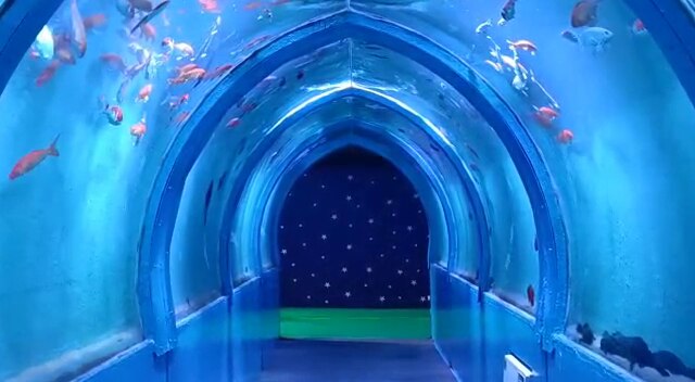 Nellore Tunnel Aquarium : నెల్లూరులో ఆకట్టుకుంటున్న టన్నెల్ అక్వేరియం