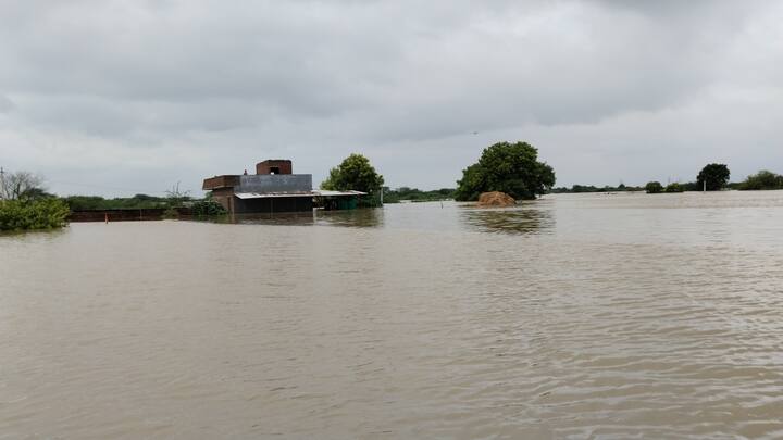 राजस्थान (Rajasthan)के बूंदी (Bundi) में बाढ़ बारिश का कहर जारी है. यहां लाखेरी उपखण्ड के चाणदा, मालियों की बाड़ी, कांकरा मेज, बसवाड़ा, पाली, खाखटा सहित कई गांव मेज नदी के कहर के चपेट में आ गये. ऐसे में प्रशासन ने गांव के लोगों का रेस्क्यू करने के लिए सेना की मदद ली है.
