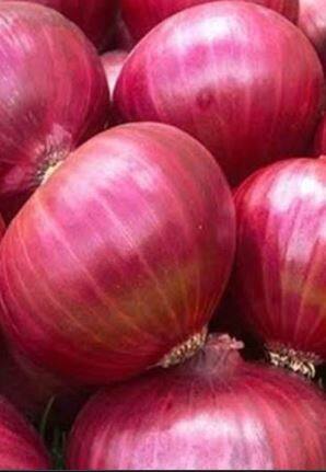 उत्पादन खर्च वाढला मात्र, कांद्याच्या दरात सुधारणा नाही