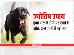 कुत्ते को रोटी खिलाने से क्या होता है? नहीं जानते हैं तो जान लें, ये तीन ग्रह भी देने लगते हैं शुभ फल