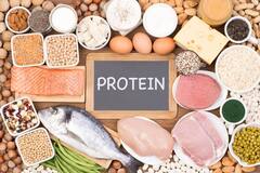 Protein Food:પ્રોટીનથી ભરપૂર આ ફૂડસને  આપની ડાયટમાં કરો સામેલ, આ બીમારીથી જીવનભર રહેશો દૂર