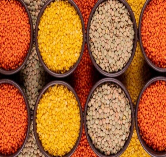 મસૂરની દાળ પીવાથી આપણને પુષ્કળ પ્રમાણમાં પ્રોટીન મળે છે.દાળ આપણા રોજિંદા આહારનો મહત્વનો ભાગ છે, તેને ભાત અને રોટલી બંને સાથે ખાવામાં આવે છે. તે આપણી રોજિંદી પ્રોટીનની જરૂરિયાતને ઘણી હદ સુધી પૂરી કરે છે.