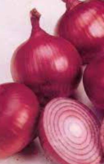 सर्व बाजार समित्यांमध्ये शेतकऱ्यांच्या कांद्याला सरासरी 25 रुपये प्रति किलोचा भाव देण्याची मागणी