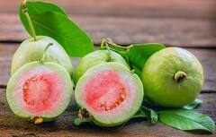 Red Guava Benefits : ਲਾਲ ਅਮਰੂਦ ਵਿੱਚ ਹੁੰਦੇ ਨੇ ਬਹੁਤ ਸਾਰੇ ਗੁਣ, ਇਹਨਾਂ ਸਿਹਤ ਸਮੱਸਿਆਵਾਂ ਨੂੰ ਦੂਰ ਕਰ ਸਕਦੈ ਲਾਲ ਅਮਰੂਦ