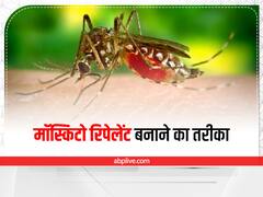 इन नेचुरल तरीकों से भगा सकते हैं घर के मच्छर, ये है मॉस्किटो रिपेलेंट बनाने का तरीका