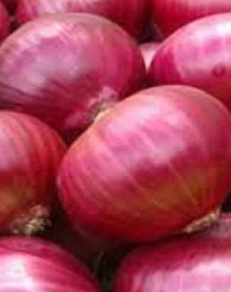 उत्पादन खर्च वाढला मात्र, कांद्याच्या दरात सुधारणा नाही