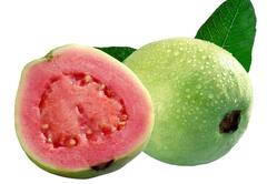 Red Guava Benefits : ਲਾਲ ਅਮਰੂਦ ਵਿੱਚ ਹੁੰਦੇ ਨੇ ਬਹੁਤ ਸਾਰੇ ਗੁਣ, ਇਹਨਾਂ ਸਿਹਤ ਸਮੱਸਿਆਵਾਂ ਨੂੰ ਦੂਰ ਕਰ ਸਕਦੈ ਲਾਲ ਅਮਰੂਦ