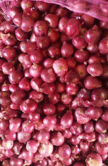 उत्पादन खर्च वाढला असताना कांद्याचा दर वाढला नाही