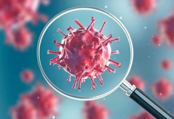 Tamil Nadu logs 547 new Covid -19 cases, NO deaths in 24 hours TN Corona Update: தமிழ்நாட்டில் புதிதாக 547 பேருக்கு உறுதியானது கொரோனா தொற்று..