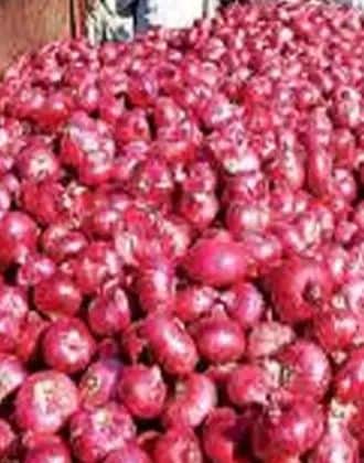 कांद्याचा उत्पादन खर्च प्रति किलो 20 ते 22 रुपये येतो