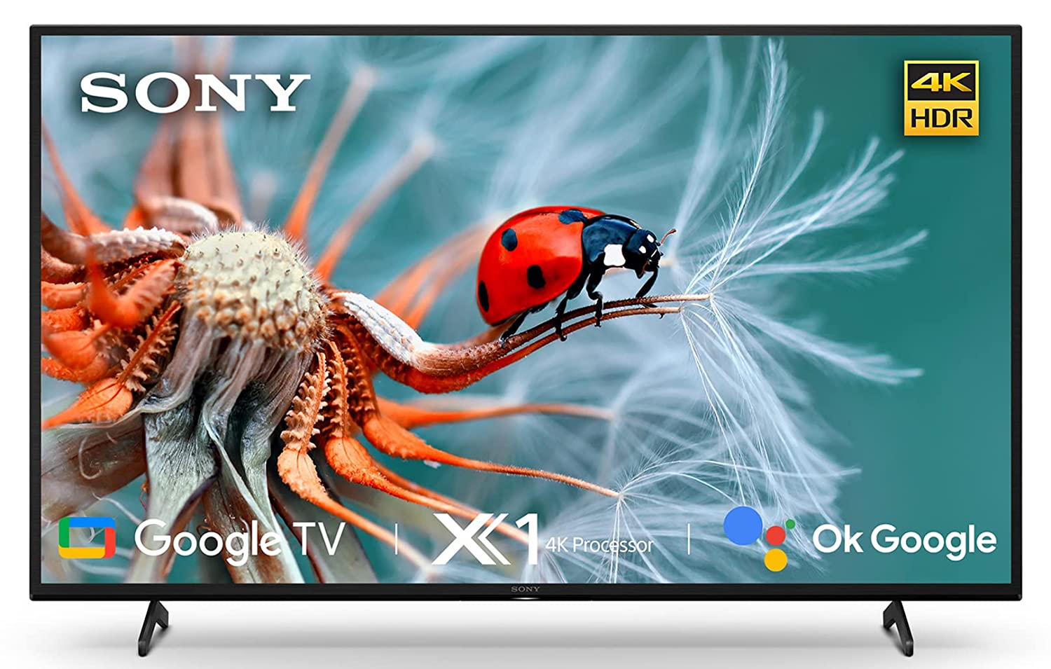 Amazon Deal: Sony के न्यू लॉन्च स्मार्ट टीवी पर सुपर सेल, 69,900 रुपये का टीवी खरीदें सिर्फ 40 हजार रुपये में