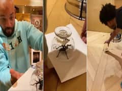 Will Smith: హాలీవుడ్ స్టార్ ను భయపెడుతున్న పురుగు.. దాన్ని బాధ తట్టుకోలేక ఏం చేయబోతున్నాడంటే?