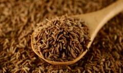 Cumin Seed: શેકેલું જીરૂ ખાવાથી વજન સહિત આ બીમારીથી મળી જશે છુટકારો, જાણો કેવી રીતે કરશો સેવન