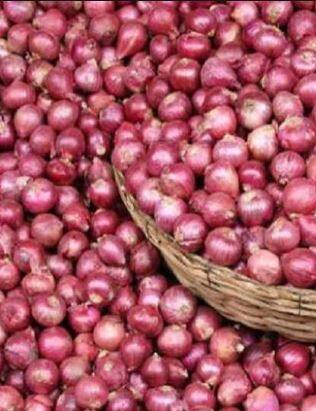 कांद्यांच्या दरांमध्ये घसरण झाली आहे