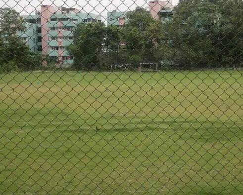 Various competitions on National Sports Day apply by Friday Nagpur Sports : राष्ट्रीय क्रीडा दिनी विविध स्पर्धा, शुक्रवारपर्यंत करा अर्ज