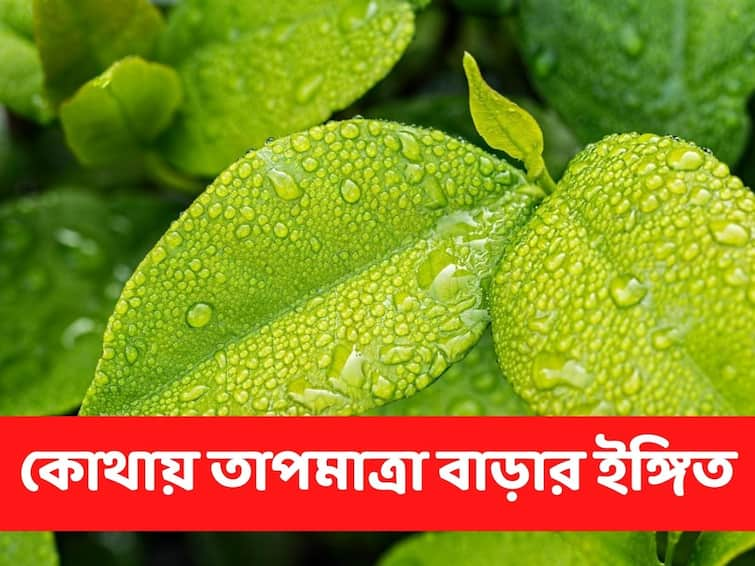 West Bengal Weather Update 24 August Heavy Rain In South India, light rain in North Bengal West Bengal Weather :  বাংলার এই জায়গাগুলিতে বৃষ্টি কমার পাশাপাশি, বাড়বে তাপমাত্রা