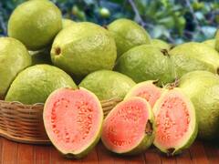 Guava Benefits : हिवाळ्यात पेरू खाणं आरोग्यासाठी गुणकारी; पाहा आश्चर्यकारक फायदे