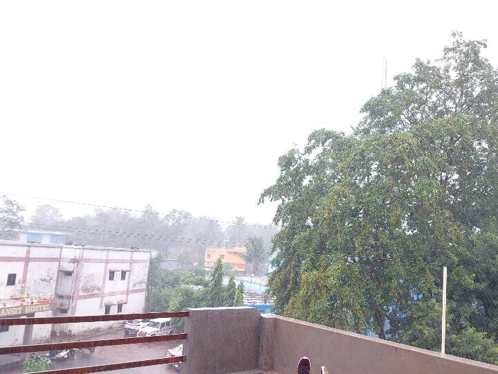 Bastar Weather Update: बस्तर में एक बार फिर भारी बारिश के आसार, संभाग के कई जिलों में बारिश ने बढ़ाई किसानों की चिंता Bastar Weather Update Heavy rain expected once again in Bastar, rain in many districts of the division ANN Bastar Weather Update: बस्तर में एक बार फिर भारी बारिश के आसार, संभाग के कई जिलों में बारिश ने बढ़ाई किसानों की चिंता