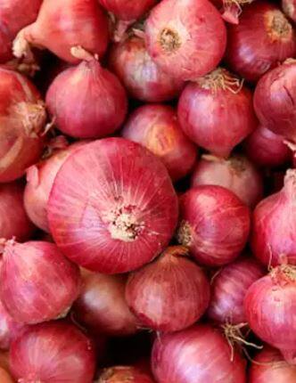 कांदा उत्पादक शेतकरी अडचणीत