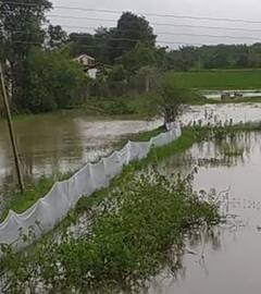 अतिवृष्टीमुळं राज्यातील 81 लाख हेक्टर जमिन बाधित