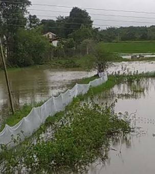 अतिवृष्टीचा विदर्भ आणि मराठवाड्याला फटका