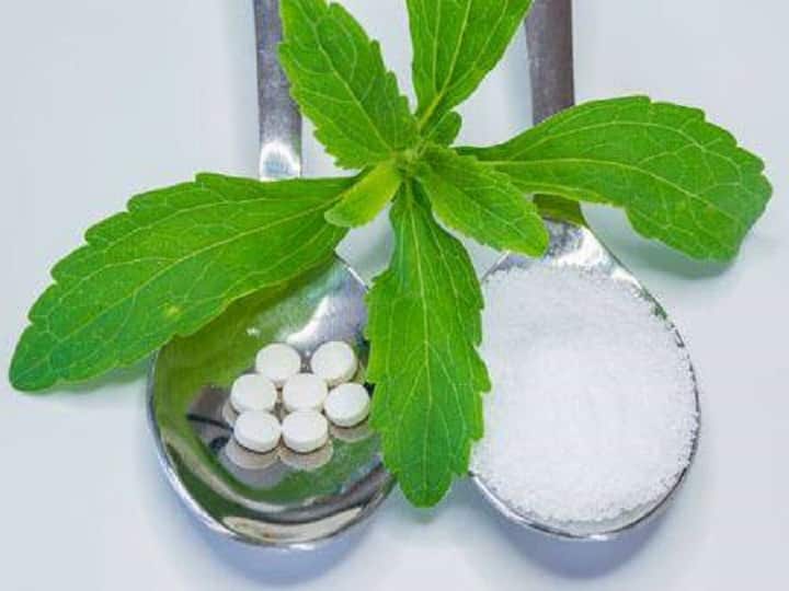 Herbal Farming: 500 रुपए किलो तक बिकती है शुगर की ये जड़ी-बूटी, अगले 5 साल तक देगी लाखों की आमदनी