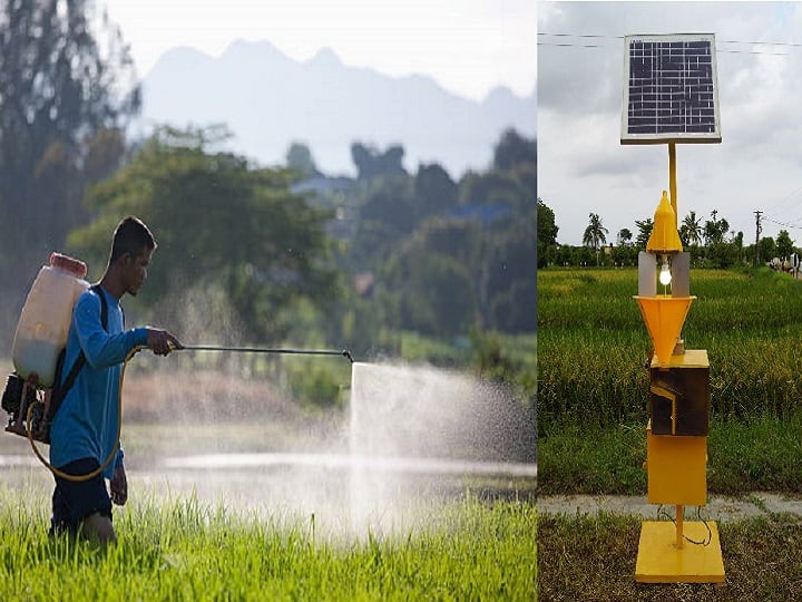 pest control from Light Trap helps to remove insects and avoid pesticide spray in crop field Light Trap: खेत में कीटनाशक के छिड़काव से मिलेगी मुक्ति, यह है फसल के कीडों को कैद करने वाला देसी जुगाड़