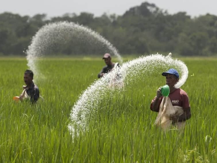 Fertilizer Price Reduced: Good news for farmers! IFFCO reduced the prices of fertilizers by up to 14%, read details Fertiliser Price Reduced: ખેડૂતો માટે સારા સમાચાર! IFFCO એ ખાતરના ભાવમાં 14% સુધીનો ઘટાડો કર્યો