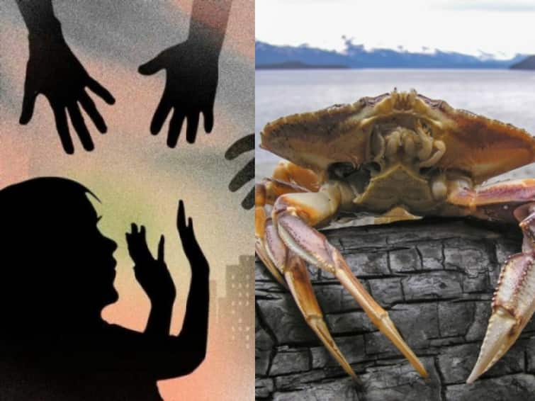 Karaikal : Police have arrested a man who left a live crab on a 14-year-old girl 14 வயது சிறுமி மீது உயிருள்ள நண்டை விட்டு பாலியல் சீண்டல்... போக்சோ சட்டத்தில் ஆக்‌ஷன் எடுத்த போலீஸ்!