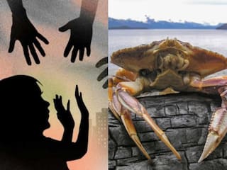 14 வயது சிறுமி மீது உயிருள்ள நண்டை விட்டு பாலியல் சீண்டல்... போக்சோ சட்டத்தில் ஆக்‌ஷன் எடுத்த போலீஸ்!