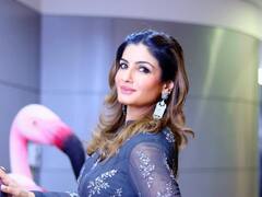 PHOTO : ग्लॅमरस लूक अन् घायाळ करणाऱ्या अदा; रवीना टंडनचा क्लासी लूक चर्चेत!