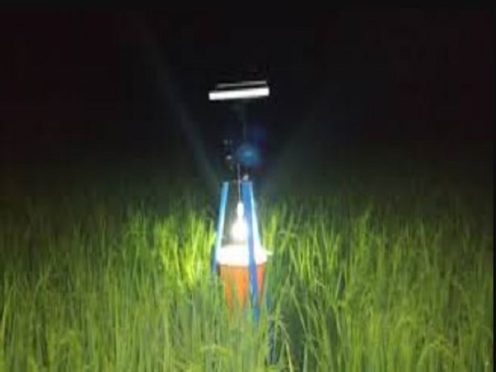 Light Trap: खेत में कीटनाशक के छिड़काव से मिलेगी मुक्ति, यह है फसल के कीडों को कैद करने वाला देसी जुगाड़