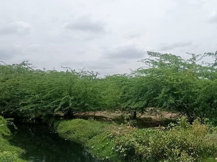 கரூர் பெரிய  ஆண்டாங்கோயில் தடுப்பணைக்கு தண்ணீர் வரத்து சரிந்தது