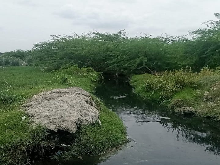 கரூர் பெரிய  ஆண்டாங்கோயில் தடுப்பணைக்கு தண்ணீர் வரத்து சரிந்தது