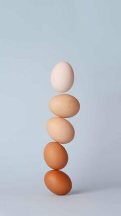 Egg Benefits : वाढत्या वयातही अंडी खाण्याचे आहेत अनेक फायदे; जाणून घ्या