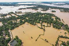 Indian Monsoon: বানভাসি হিমাচল-ওড়িশা, বন্যাবিধ্বস্ত উত্তরপ্রদেশ-রাজস্থানও, ভোগান্তি নানা রাজ্যে