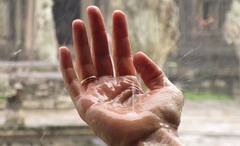 Monsoon Health Tips: ভিজে চুল, ভেজা জামা, বর্ষা মানেই হাজার রোগ, কী করবেন, কী করবেন না