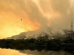 Delhi Govt Will Launch 15-Point Action Plan In September To Fight Air Pollution In Winter: Minister