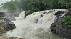 காவிரி ஆற்றில் வெள்ளப்பெருக்கு - ஒகேனக்கல்அருவியில் பரிசல் இயக்க மீண்டும் தடை