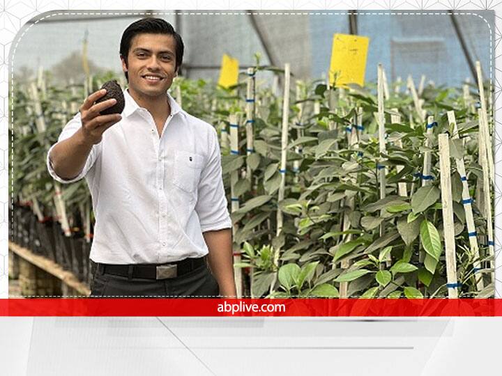 young farmer Harshit Godha of Bhopal commercially cultivate avocado from Israeli techniques in India Success Story: बिट्रेन की डिग्री के बाद इजराइल में सीखी खेती, अब भोपाल में एवोकाडो उगाकर लाखों कमा रहा है ये युवा