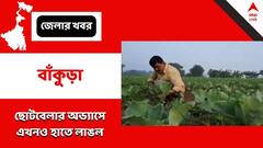 Bankura: ছোটবেলার অভ্যাস, সকালে চাষেই ব্যস্ত বিজেপি বিধায়ক, কটাক্ষ তৃণমূলের