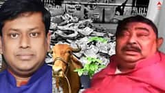 Sukanta Majumdar: অনুব্রত যদি একেবার মুখ খুলে ফেলে, তাহলে সব জেলে ঢুকে যাবে: সুকান্ত মজুমদার