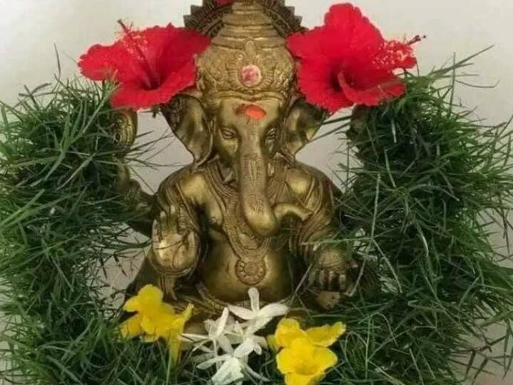 गणेश चतुर्थी पर गणपति को स्थापित करने के बाद विधिवत उनकी पूजा करें. विघ्यहर्ता को दूर्वा बहुत प्रिय है. मान्यता है कि दूर्वा चढ़ाने से भगवान गणेश जल्दी प्रसन्न होते हैं और सभी मनोकामना पूर्ण करते हैं. दूर्वा एक प्रकार की घास होती है, जिसे दूब, अमृता, अनंता, महौषधि भी कहा जाता है.